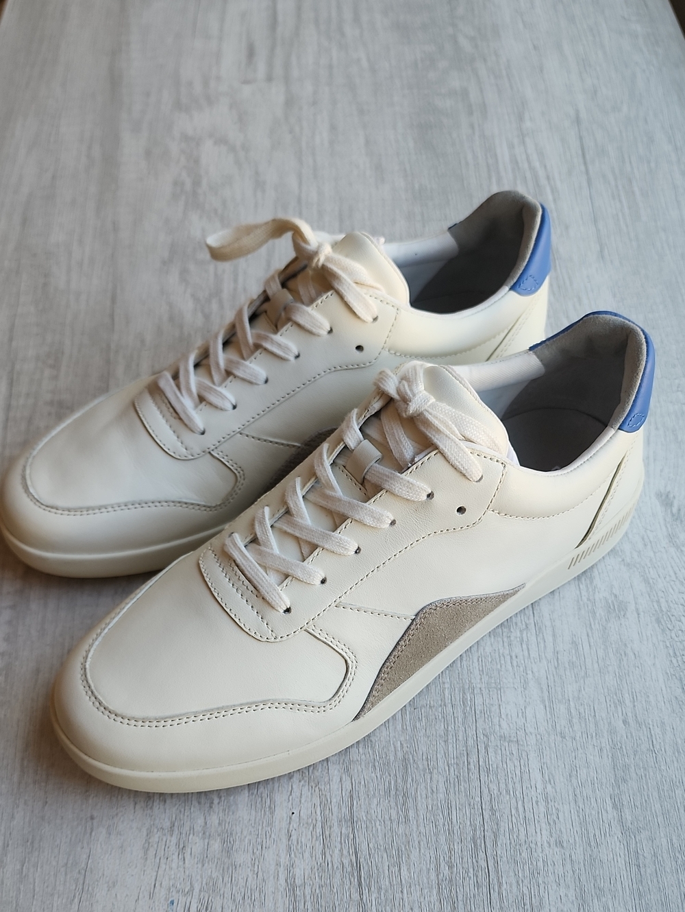 Everlane The Court Sneaker Nwot